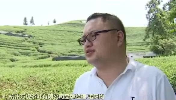 听说西湖龙井茶“烤焦了”？对明年的西湖龙井茶产量又是否会造成影响呢？米乐m6(图8)