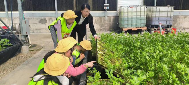 9博体育田园变乐园农业成学业 南阳这处研学基地满满科技感(图1)