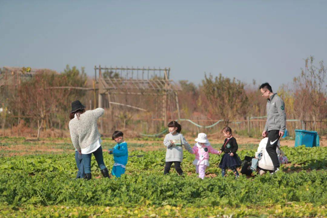 9博体育在乡村里租个小院子这样去打造……(图4)