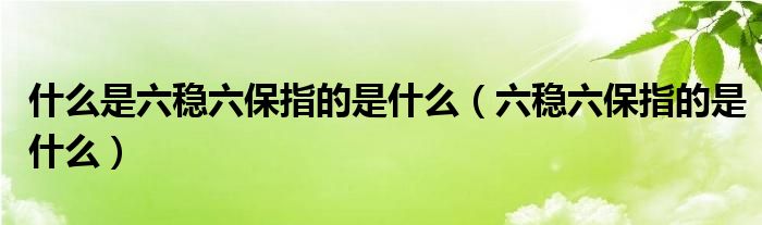 什么是六稳六保指的是9博体育什么（六稳六保指的是）(图1)