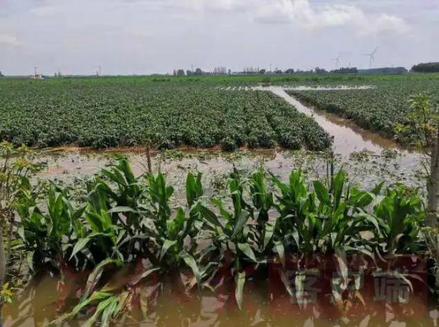 降温会很猛！还有暴雨、9博体育冰雹、大风菜农加强防范！(图2)